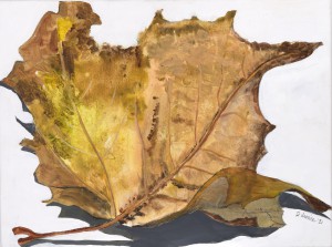 Leaf at Rest, Acrylic paint, 18" x 24", $375