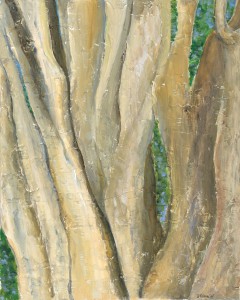 Crepe Myrtle Trees at Hardberger Park, Acrylic with texture on Canvas, 30" x 24", $1800